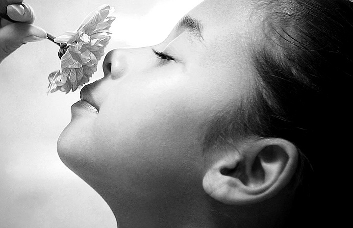 ddos压力测试网页端